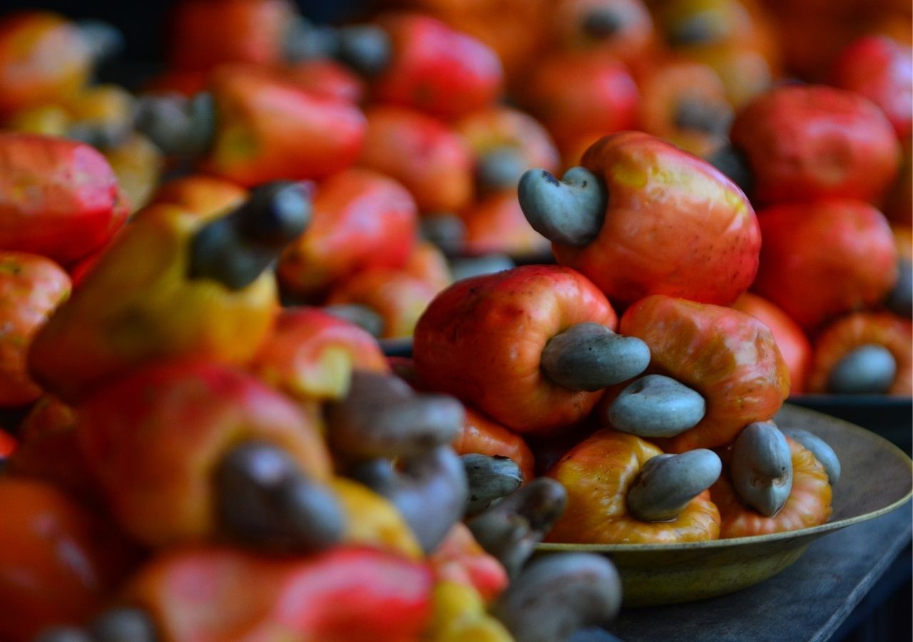 Owoce nerkowca z widocznymi pestkami - czyli orzechami