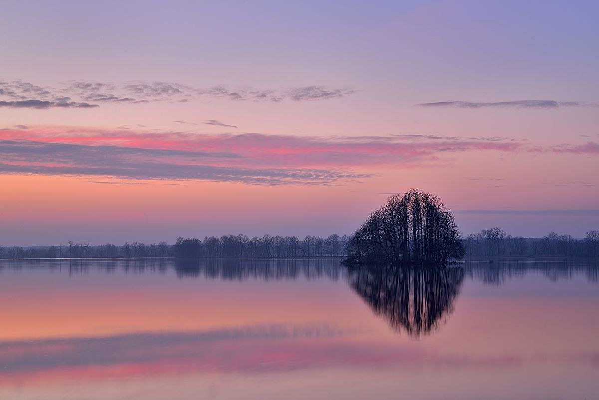 Stawy Milickie Park Krajobrazowy Dolina Baryczy
