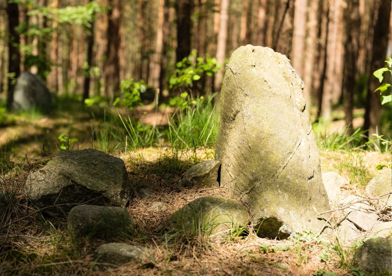 Kamienne Kręgi w Węsiorach