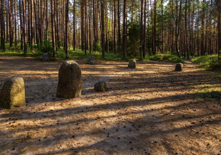 Kamienne Kręgi w Węsiorach