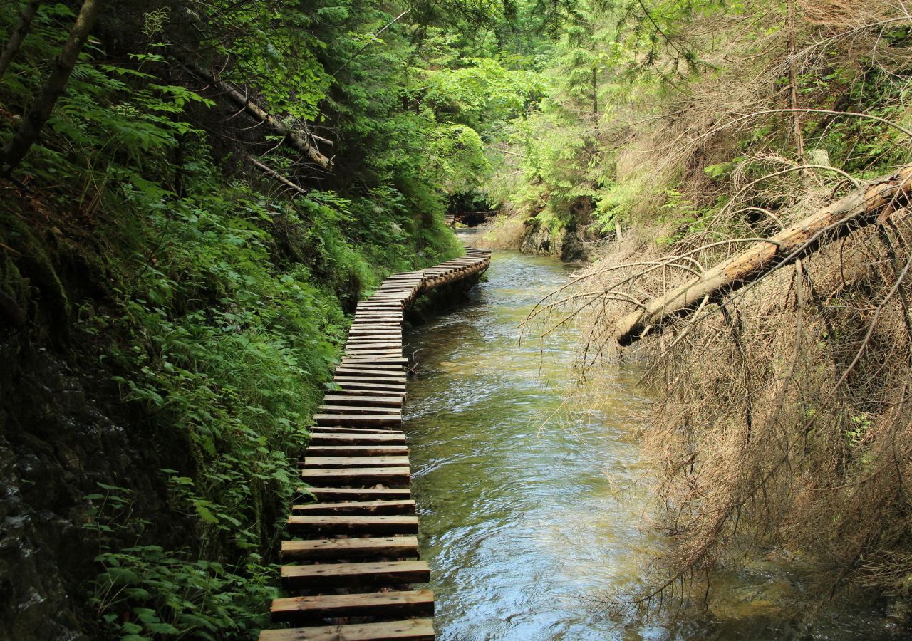 Słowacki Raj - ścieżka leśna