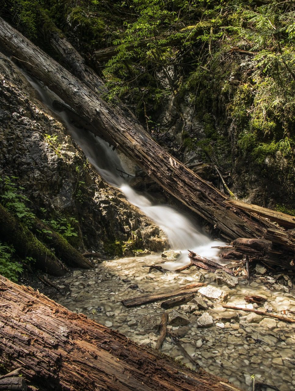 Słowacki Raj - trasa leśna