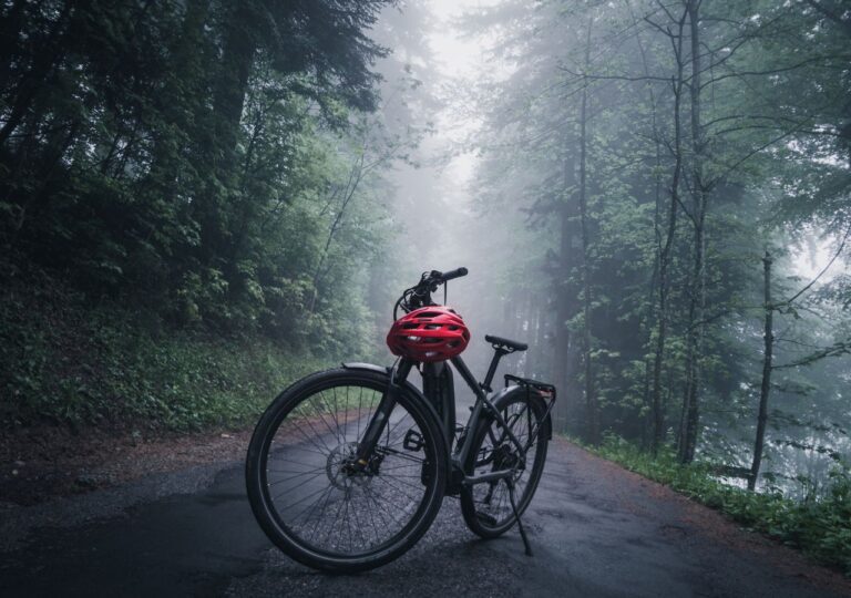 Rower na trasie Blue Velo - Odrzańska Trasa Rowerowa
