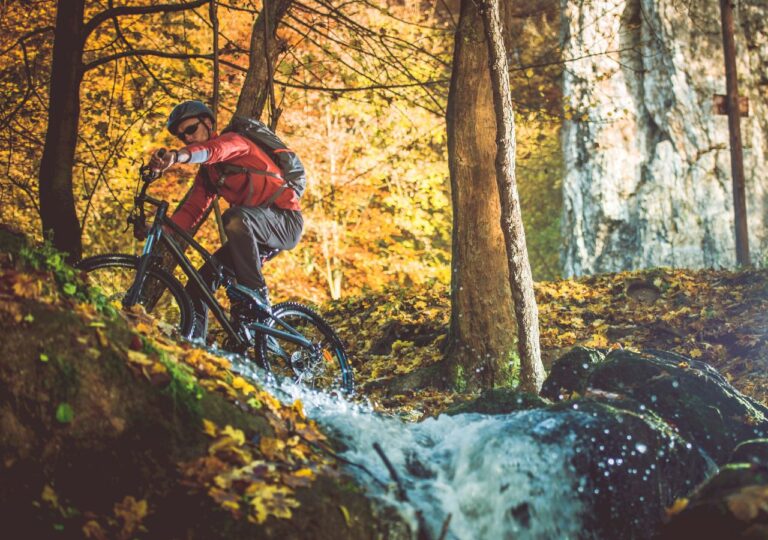 Rowerzysta w lesie na trasie Green Velo