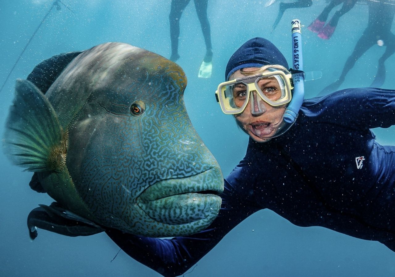 Kobieta nurek z olbrzymią rybą w czasie nurkowanie