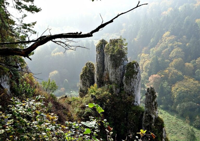 Skała Rękawica jeden z symboli Ojcowskiego Parku Narodowego