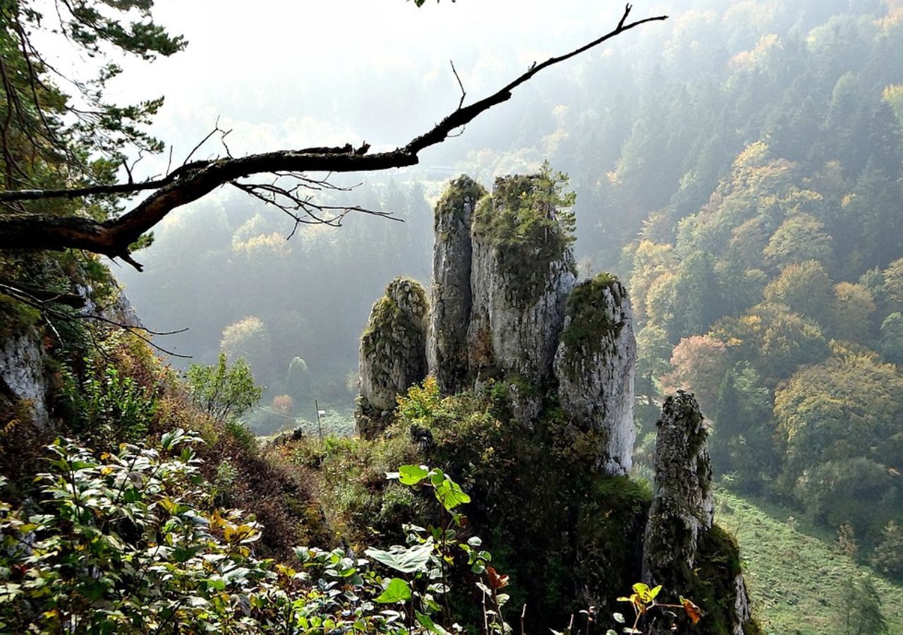 Skała Rękawica jeden z symboli Ojcowskiego Parku Narodowego