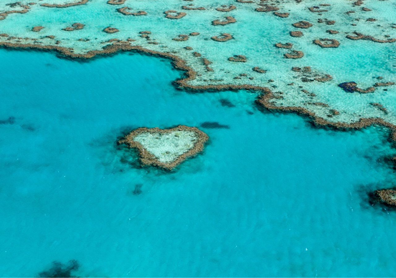 wielka rafa koralowa