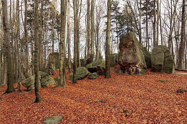 Bukowa Góa w paśmie Gór Świętokrzyskich