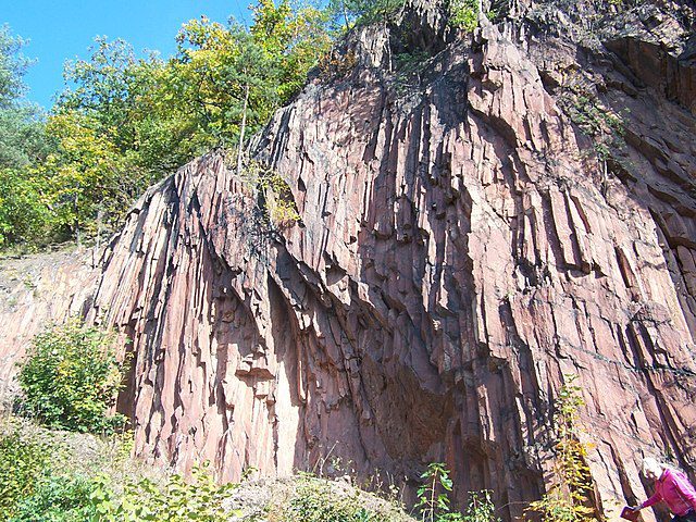 Organy Wielisławskie