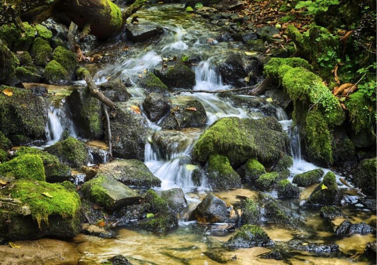 Pole Czartowe na Roztoczu
