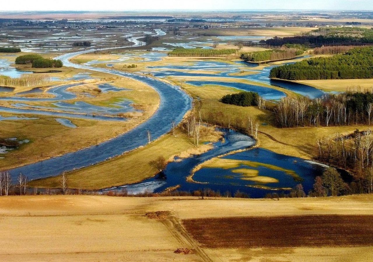 Biebrzański Park Narodowy z lotu ptaka