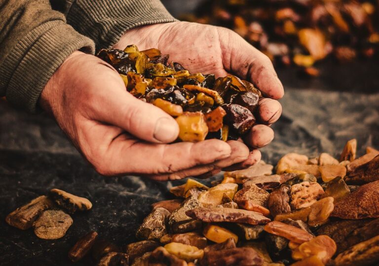 Męskie dłonie trzymające drobne kawałki bursztynu