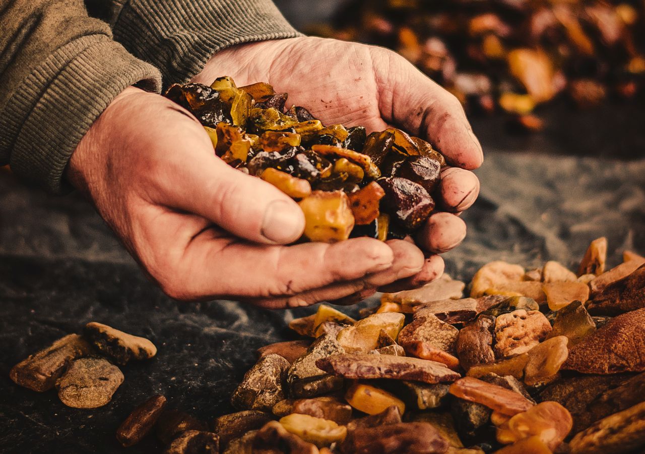 Męskie dłonie trzymające drobne kawałki bursztynu