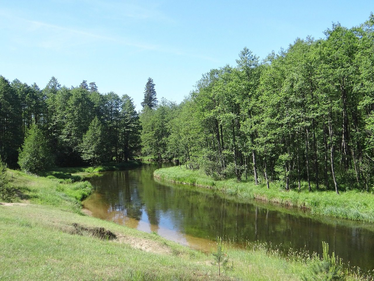Rzeka Czarna Hańcza przepływa przez jezioro Hańcza