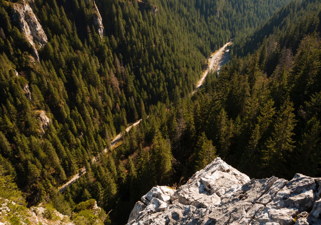Droga przez Dolinę Kościeliską w Tatrach