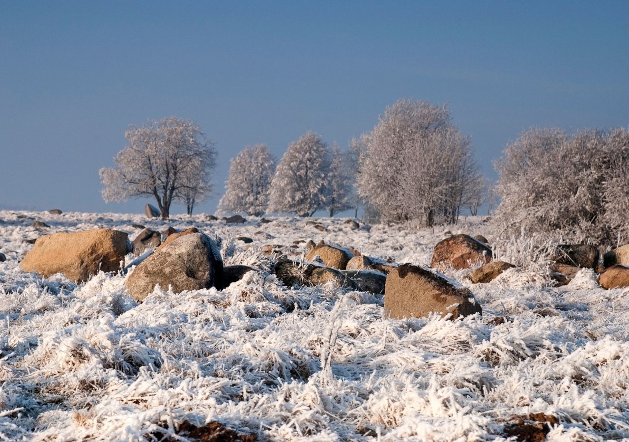 Głazowisko Bachanowo zimą