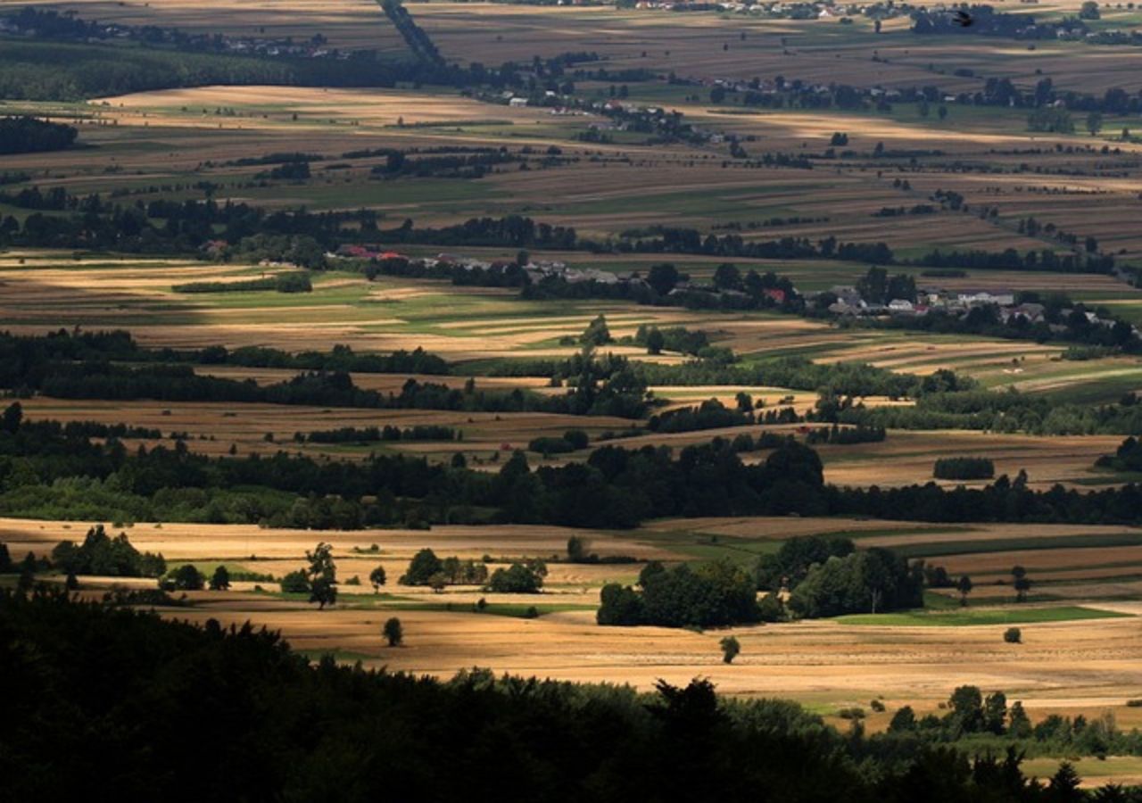 Widok na pasma górskie z Łysej Góry - Góry Świętokrzyskie