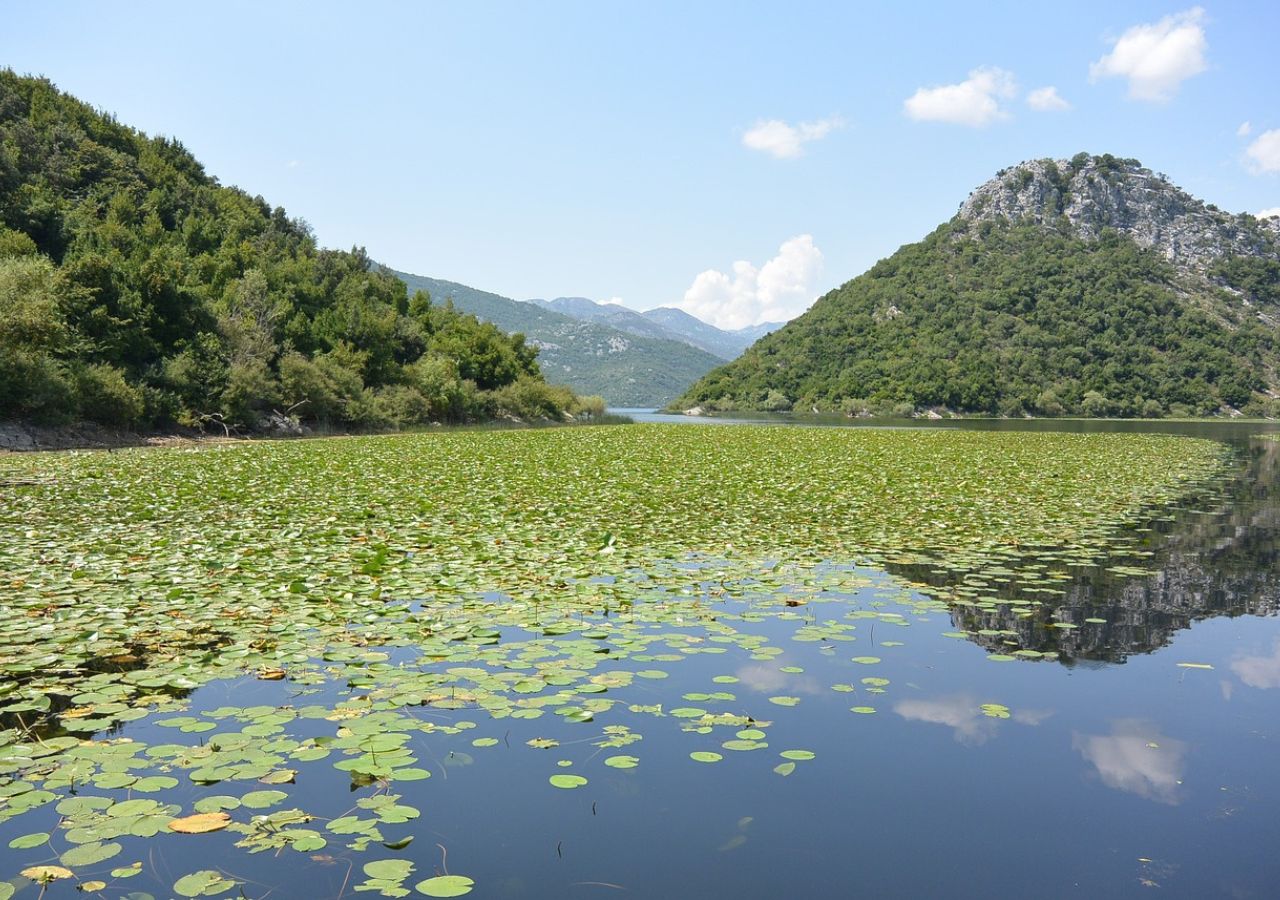 To największe jezioro Bałkanów, a mało kto o nim słyszał