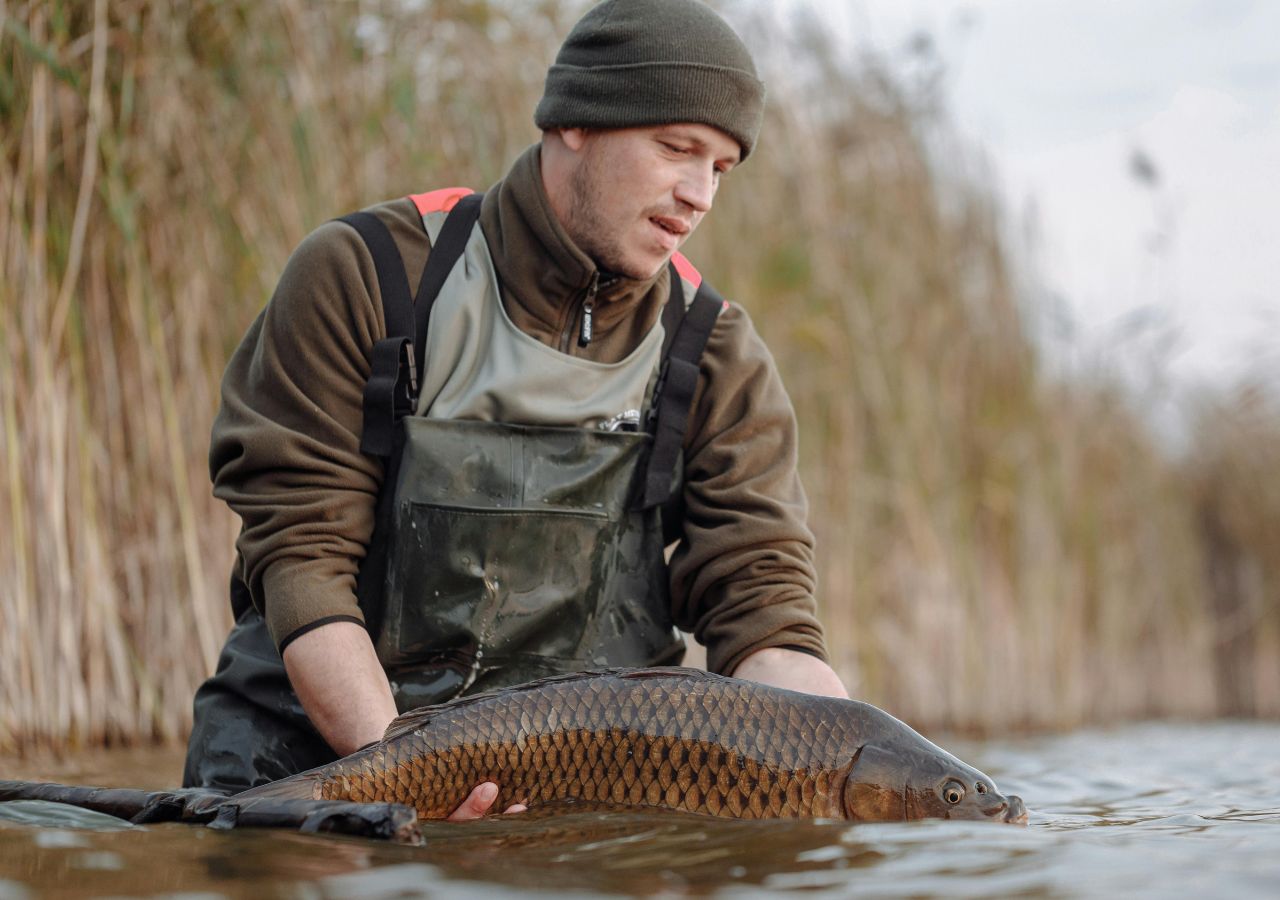 Rybak łowiący karpia w stawie