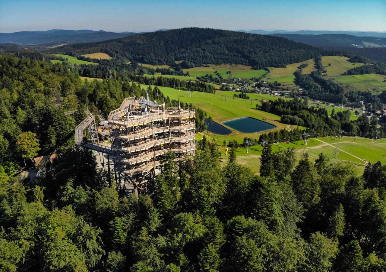 Ścieżka w koronach drzew w Krynicy Zdoju