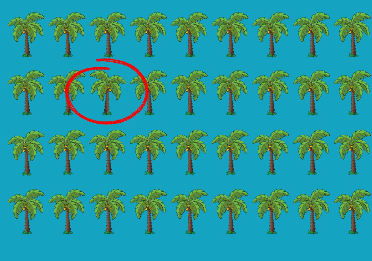 Test na spostrzegawczość. Odwrócona palma