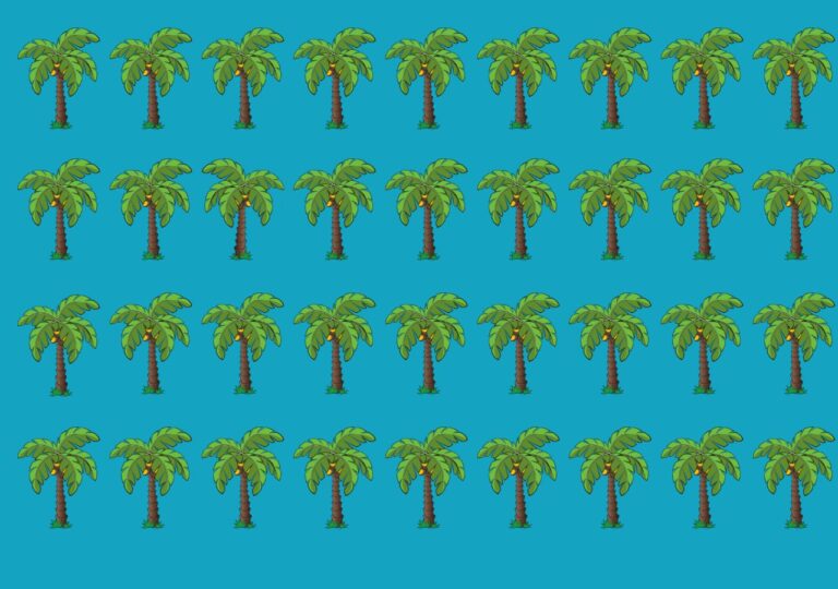 Test na spostrzegawczość. Znajdź palmę, która się wyróżnia