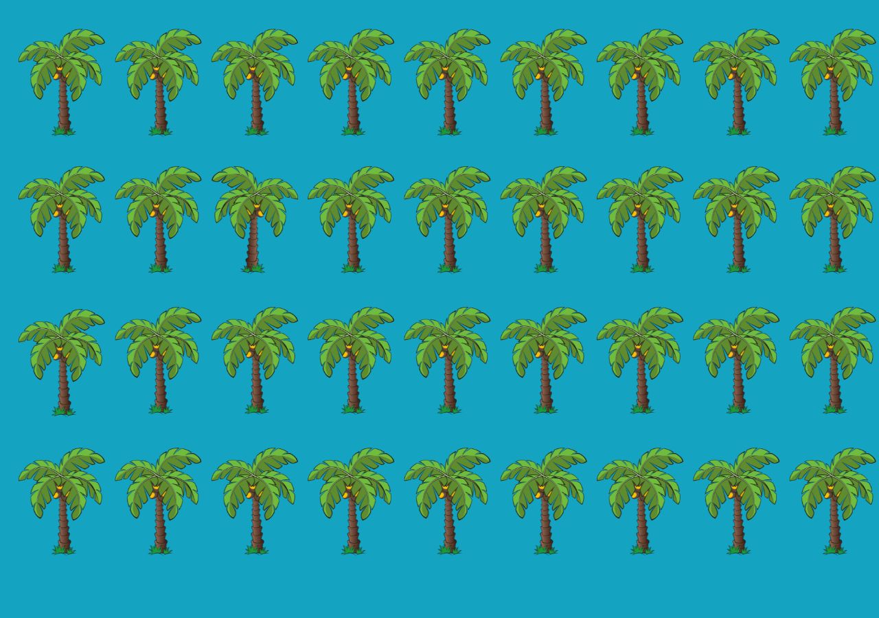 Test na spostrzegawczość. Znajdź palmę, która się wyróżnia