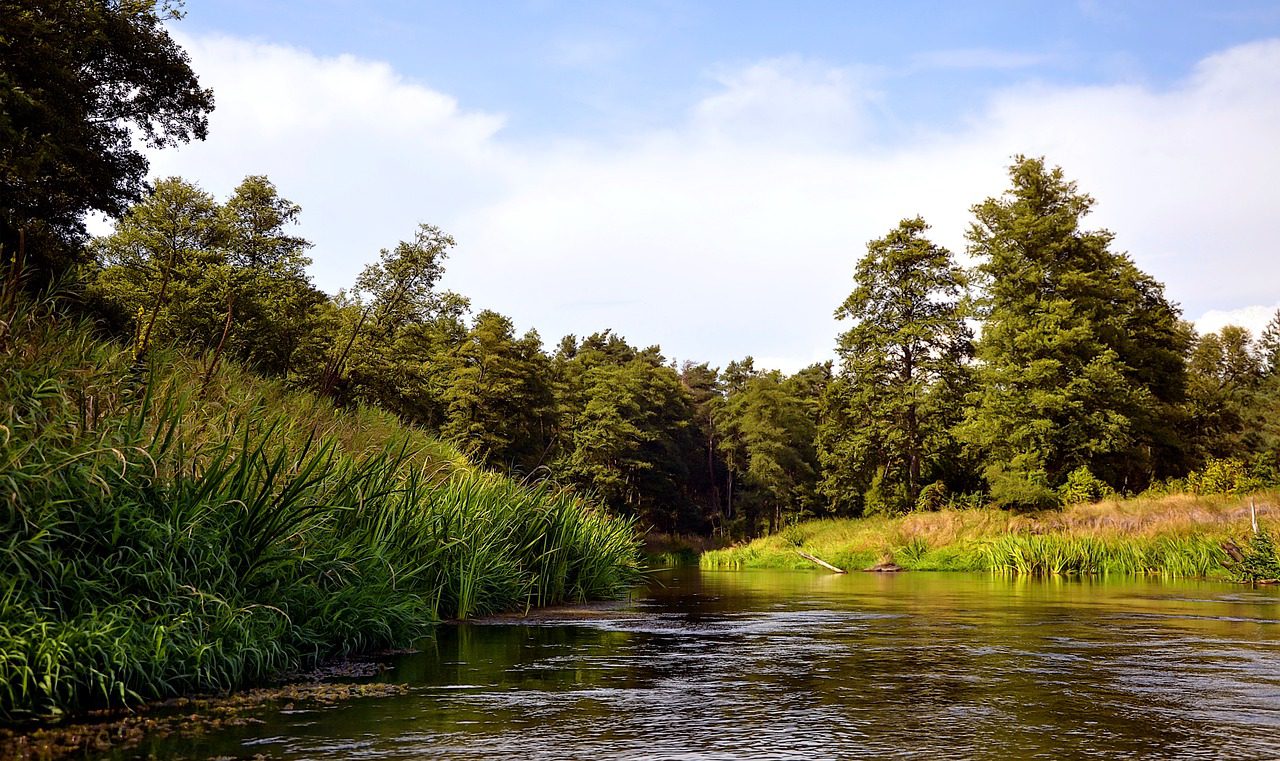 Pilica to jedna z najdłuższych rzek w Polsce