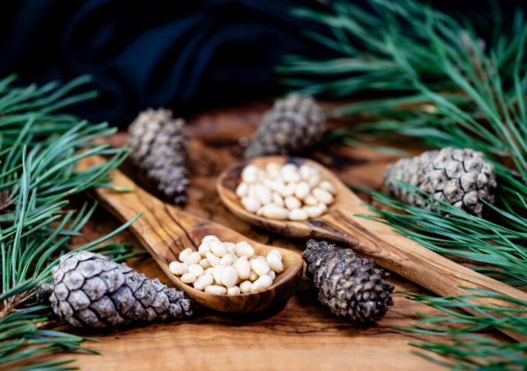 Piniole. Wystarczy garść, by wzbogacić smak dania, przenieść się myślami do rozgrzanych słońcem lasów i poczuć klimat południa Europy