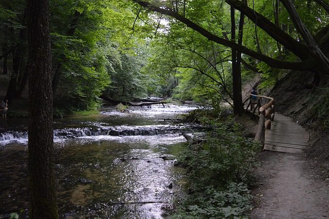 Rzeka Tanew Roztocze Polska