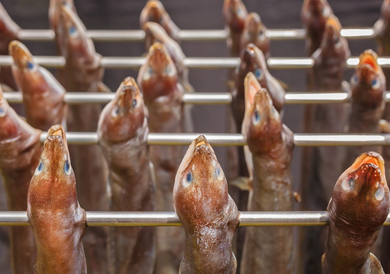 Węgorze w szeracha na patykach w czasie wędzenia