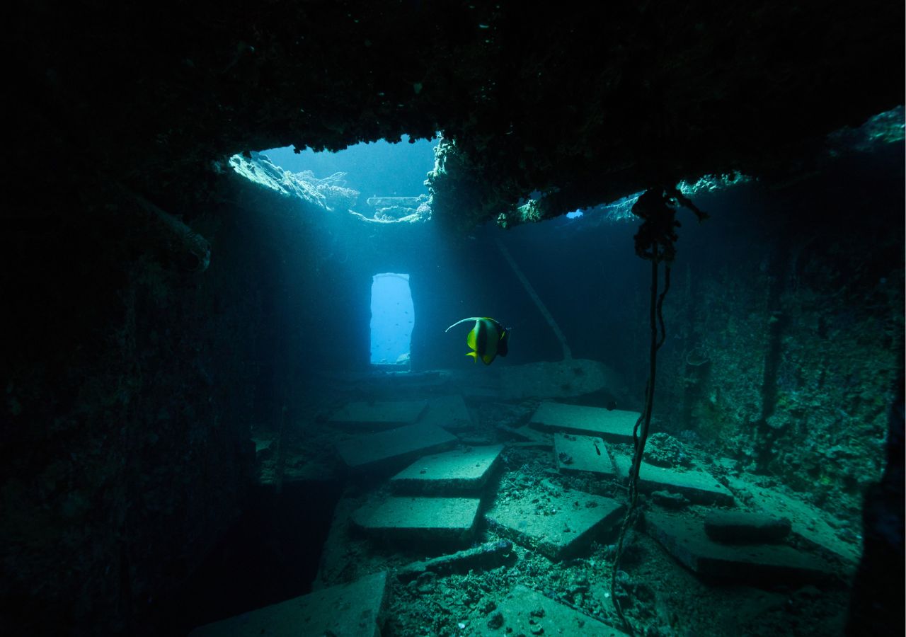 Wrak SS Thistlegorm, Egipt