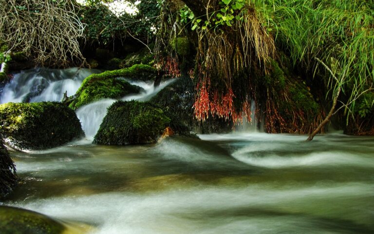 Żróła vevcani w macedonii północnej