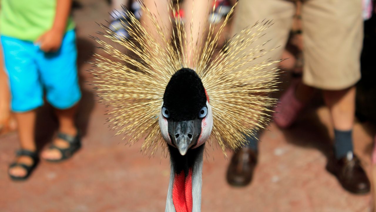 Park edukacyjny Palmitos Park - gran canaria, wyspy kanaryjskie