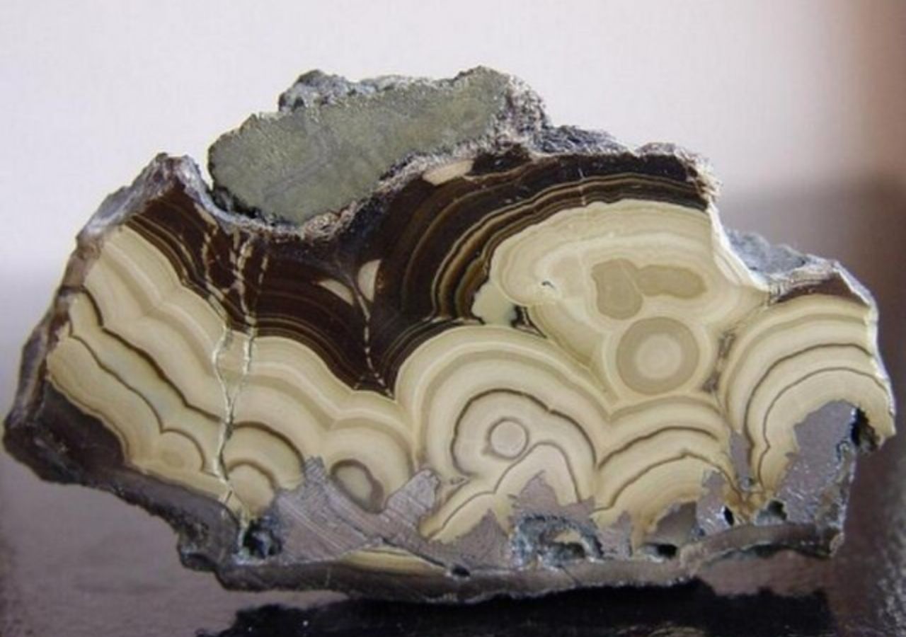 Schalenblende z kopalni Olkusz-Pomorzany