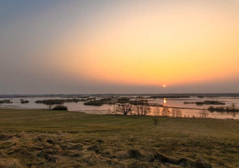 Łosie, bataliony i rozlewiska. Oto Biebrzański Park Narodowy, jakiego nie znacie