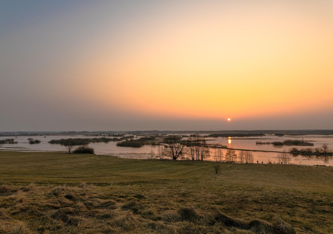 Łosie, bataliony i rozlewiska. Oto Biebrzański Park Narodowy, jakiego nie znacie
