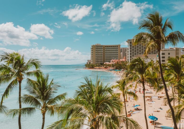 Htel na plaży wśród palm