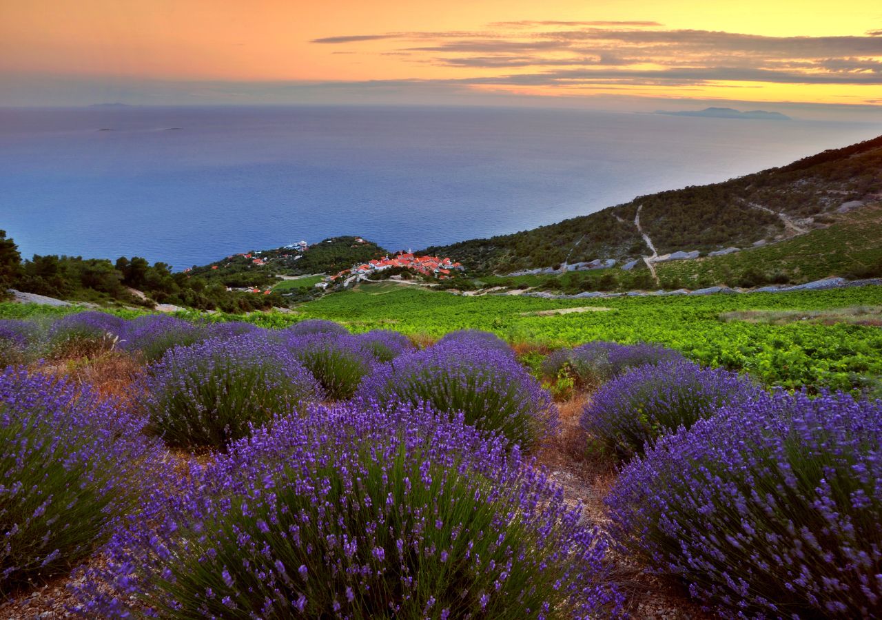 Francja? Grecja? Nie! To Chorwacja