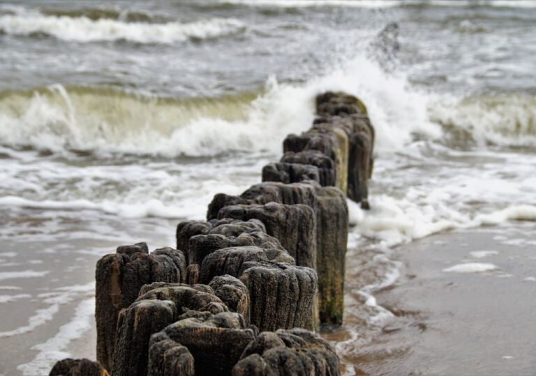 Rano, po sztormie, morze oddaje złoto. Tylko znawcy wiedzą, gdzie szukać