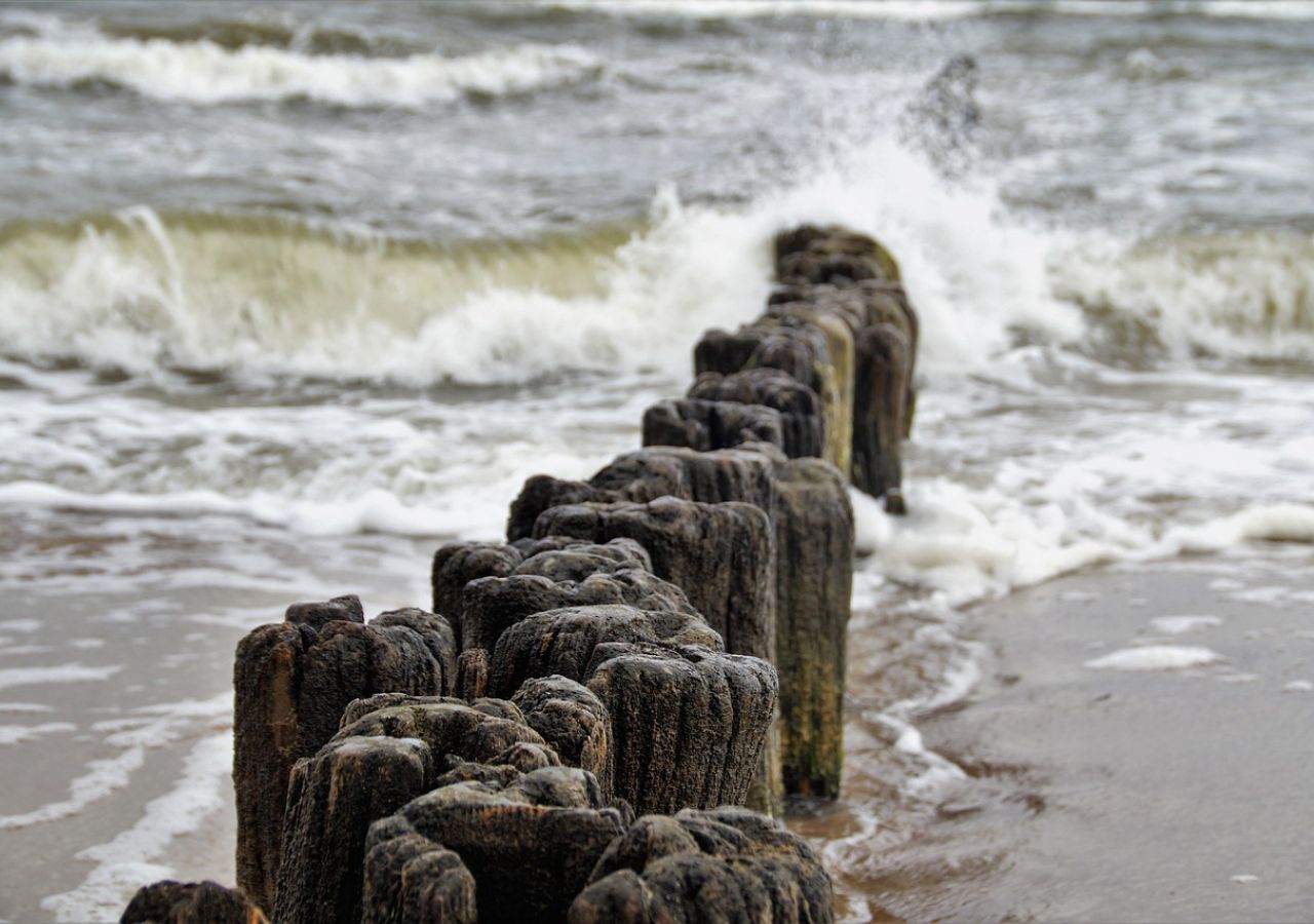 Rano, po sztormie, morze oddaje złoto. Tylko znawcy wiedzą, gdzie szukać