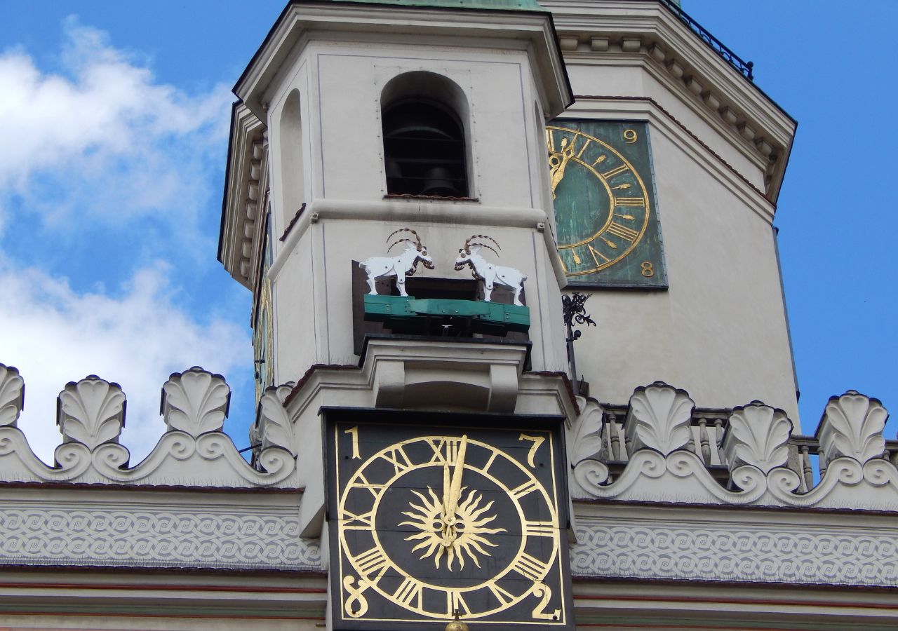 Koziołki poznańskie