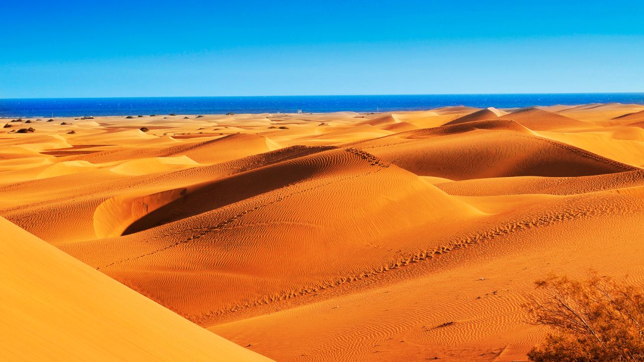 Las Dunas Diuny pustynne na Maspalomas - Gran Canaria, wyspy kanaryjskie