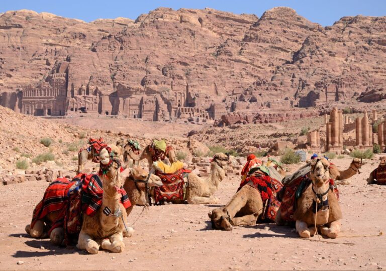 Wielbłądy przed świątynią w Petrze