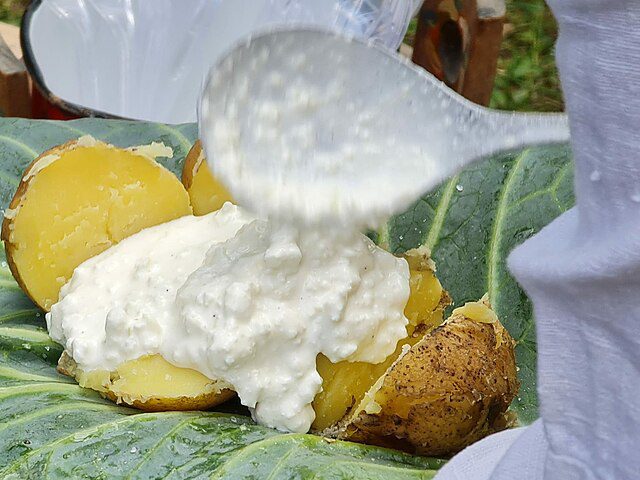 Pyry z gzikiem - Poznań, Wielkopolska