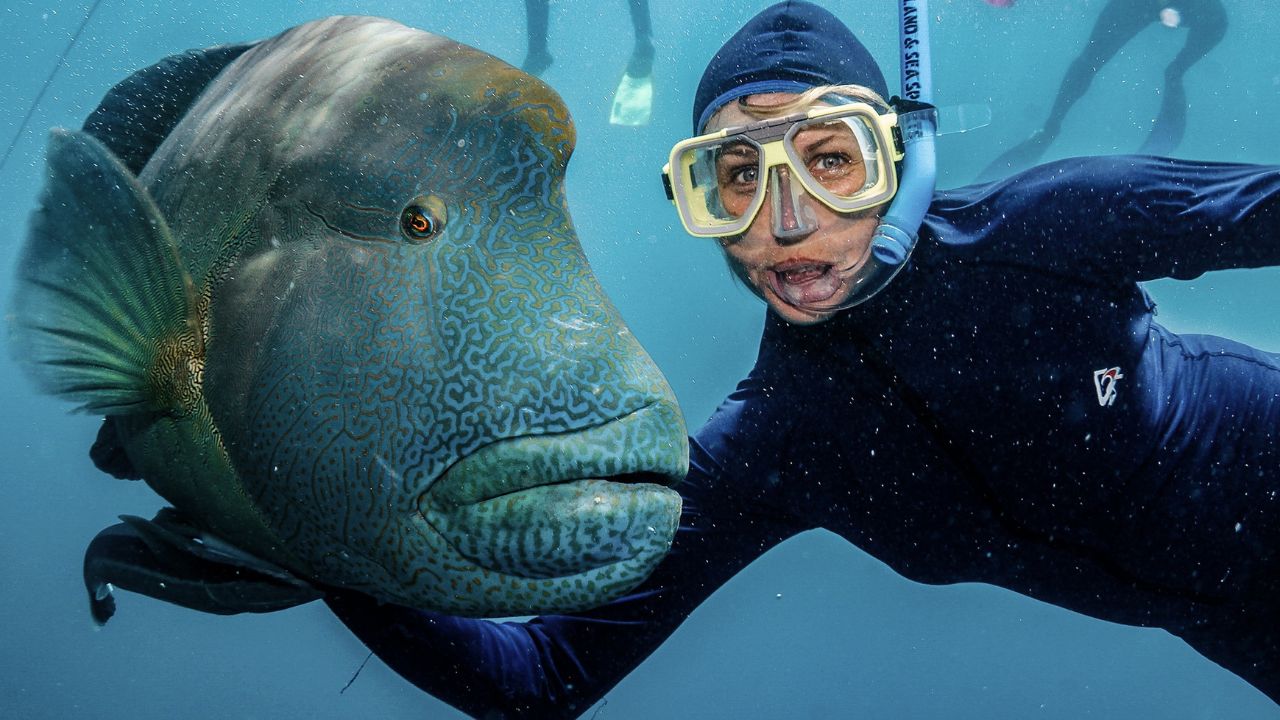 Kobieta snorklująca obok wielkiej ryby