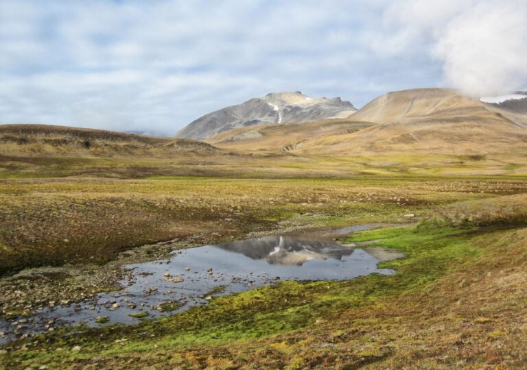 Spitsbergen to arktyczna wyspa Norwegii z niedźwiedziami polarnymi, lodowcami i zorzą polarną