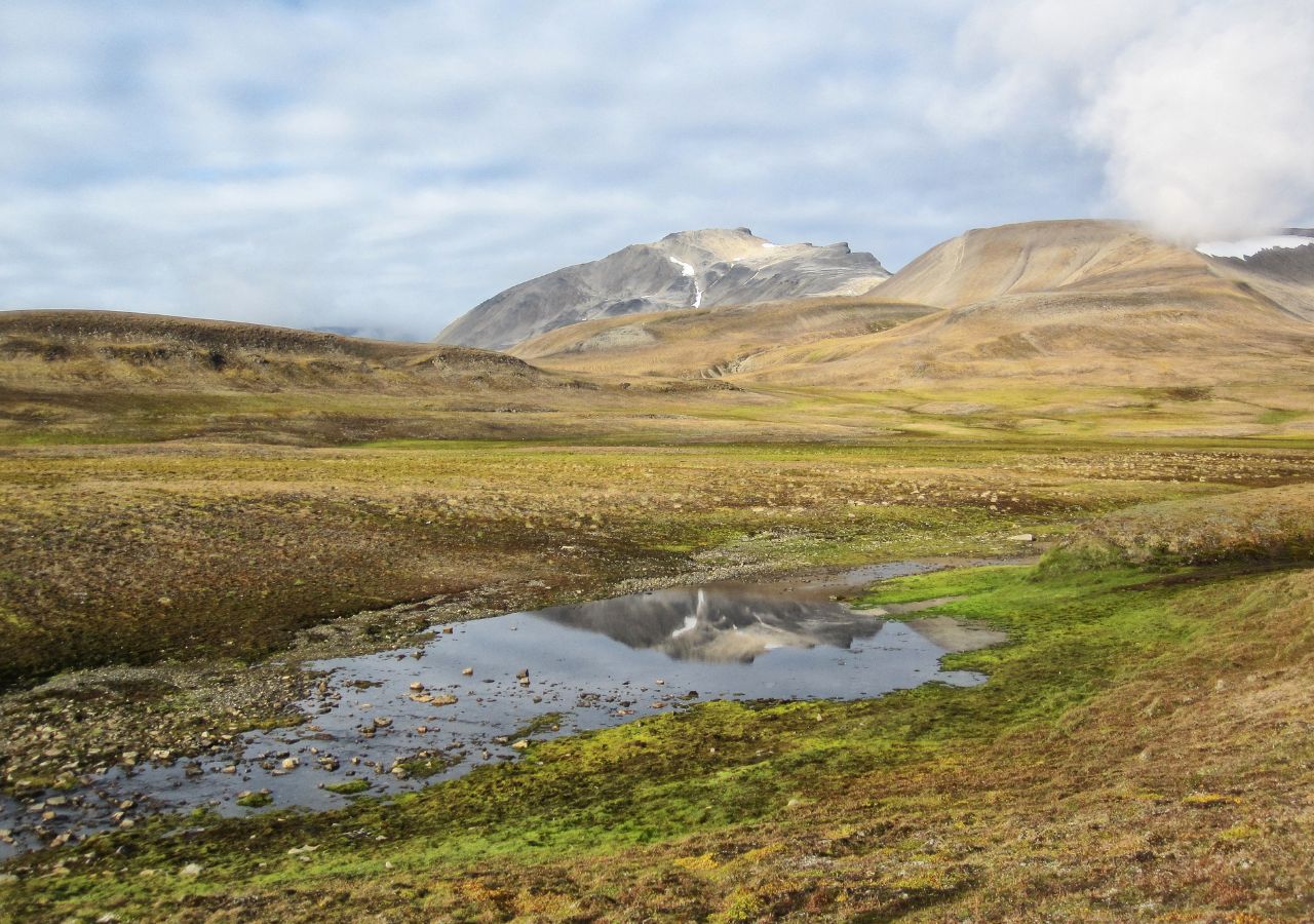 Spitsbergen to arktyczna wyspa Norwegii z niedźwiedziami polarnymi, lodowcami i zorzą polarną