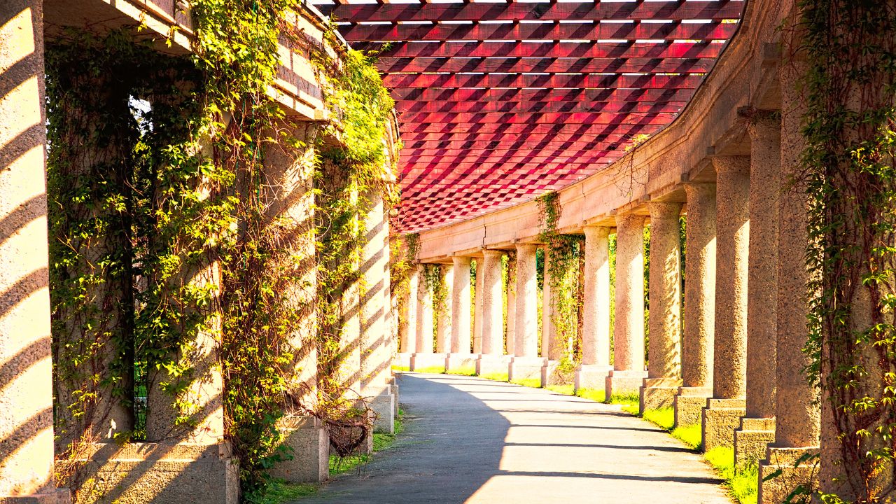 Pergola Parku Szczytnickiego z Halą Stulecia pośrodku - Wrocław